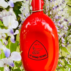 EMERO - Gourde Originale Concave Rouge / Aluminium Recyclé - Origine : France