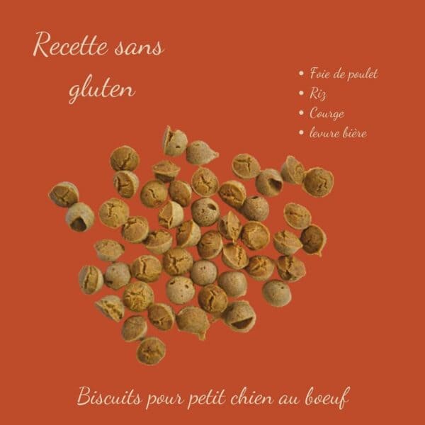 Biscuits Naturels pour Petit Chien - Foie de Poulet & Potiron (45g) & Fabriqués en France | Bio, Sans Gluten & Vitalité – Image 4