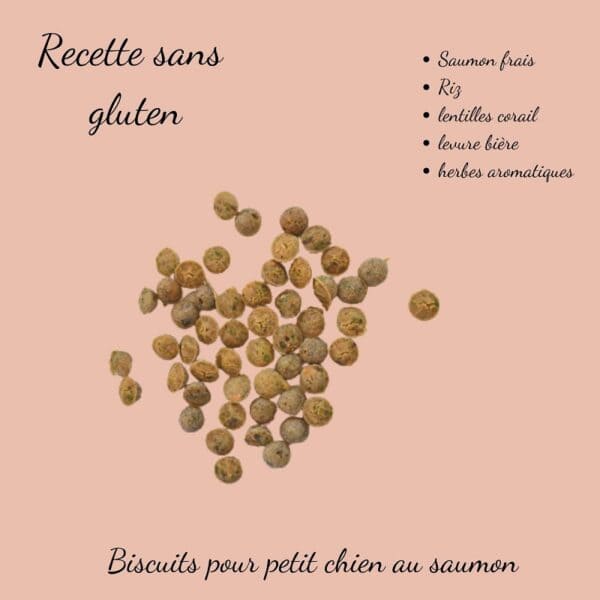 Biscuits Naturels pour Petit Chien - Saumon & Lentilles Corail (45g) & Fabriqués en France | Bio, Sans Gluten & Oméga 3 – Image 4