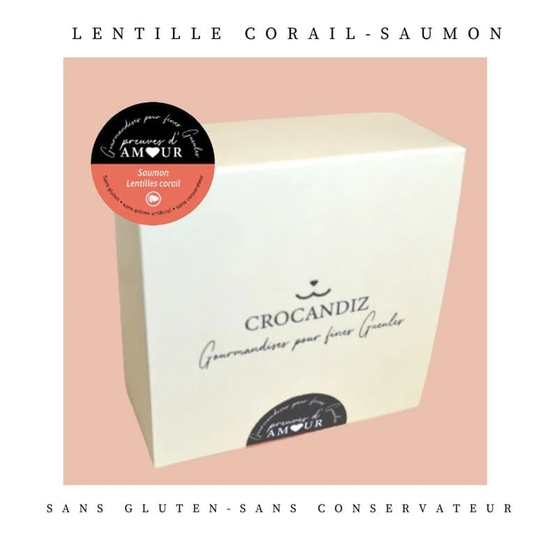 Biscuits Naturels pour Chien - Saumon & Fabriqués en France | Bio, Sans Céréales & Oméga 3 – Image 2