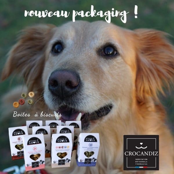 Biscuits Naturels pour Chien - Agneau (Sachet 100g) & Fabriqués en France | Bio, Sans Céréales & Hypoallergéniques – Image 4