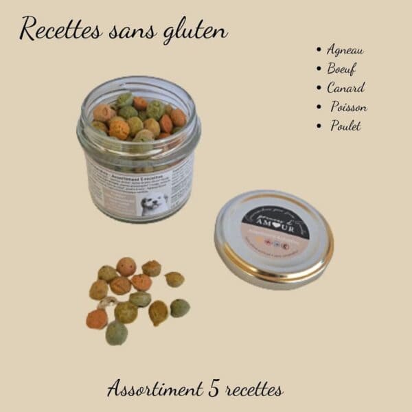 Biscuits Naturels pour Petit Chien - Assortiment 5 Recettes (45g) & Fabriqués en France | Bio, Viandes Variées & Vitalité – Image 3