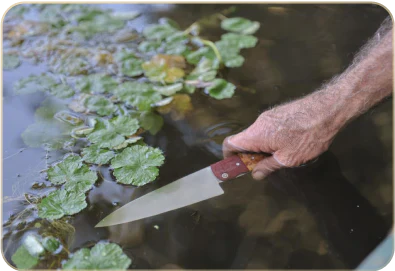 EMERO - Pack Aventurier Complet - Le Cuisinier Français - Origine : France 🇫🇷 – Image 7