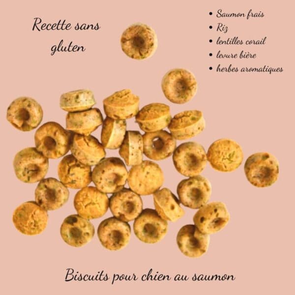 Biscuits Naturels pour Chien - Saumon & Fabriqués en France | Bio, Sans Céréales & Oméga 3 – Image 5