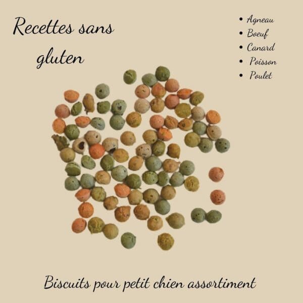 Biscuits Naturels pour Petit Chien - Assortiment 5 Recettes (45g) & Fabriqués en France | Bio, Viandes Variées & Vitalité – Image 4