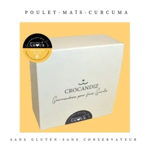 Biscuits Naturels pour Chien - Poulet & Curcuma & Fabriqués en France | Bio & Antioxydants